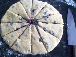 VLUU L100, M100  / Samsung L100, M100